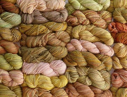 Adventures in Natural Dyeing: The Outback Afghan Project